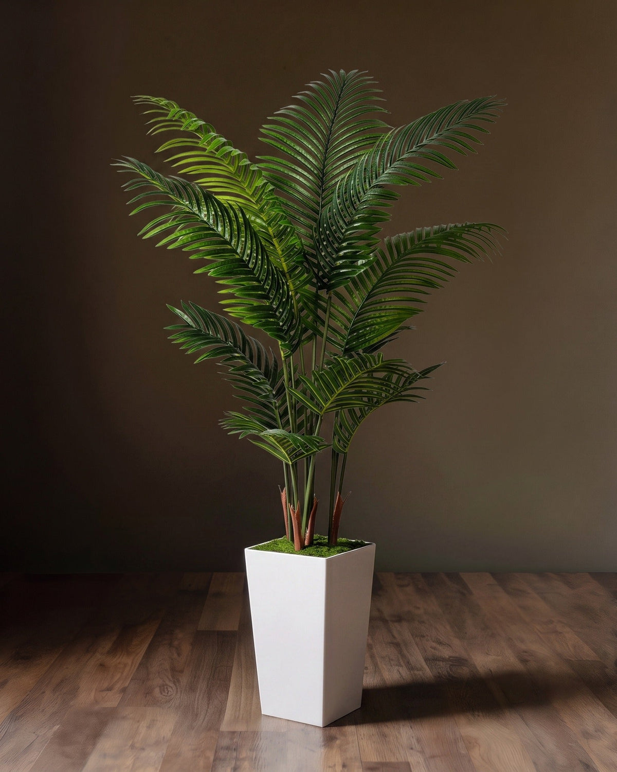 Piedestal en soie Verona et pot de fleurs Areca Palm