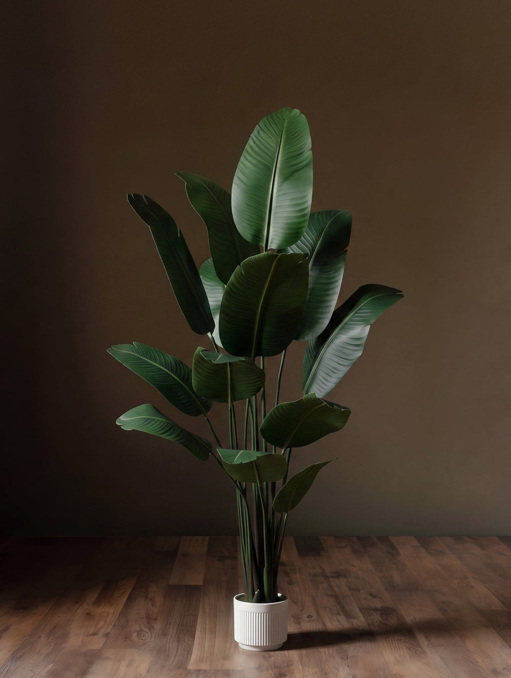 Le grand strelitzia : faux oiseau de paradis