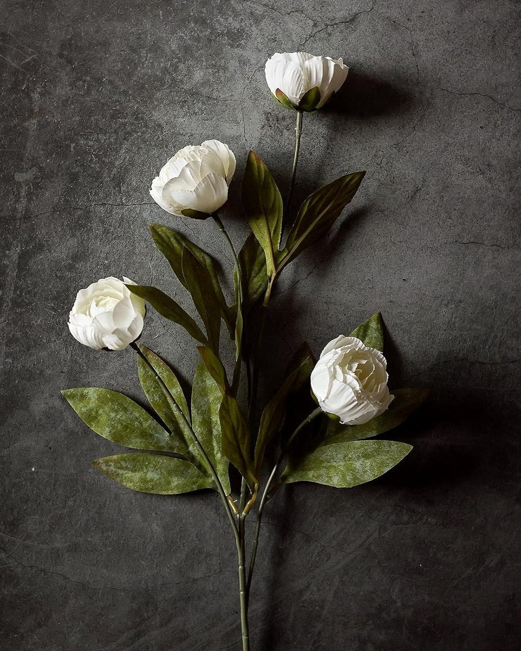 La branche de fausse pivoine Heirloom (vase non inclus)