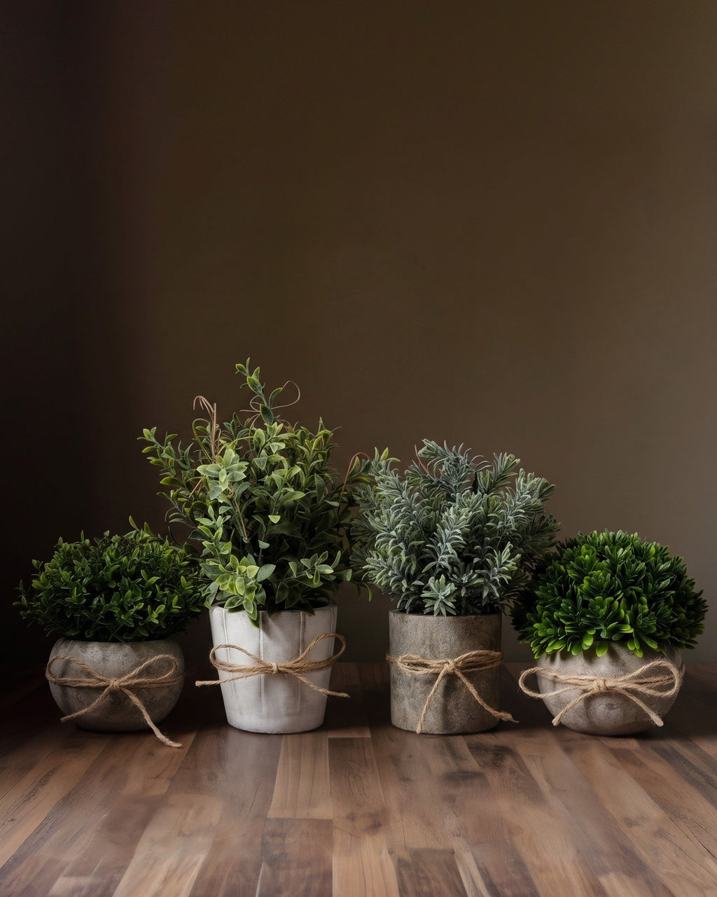 Kit botanique sélectionné Verdant Atelier™ – Miniatures architecturales dans des récipients en minéraux mats