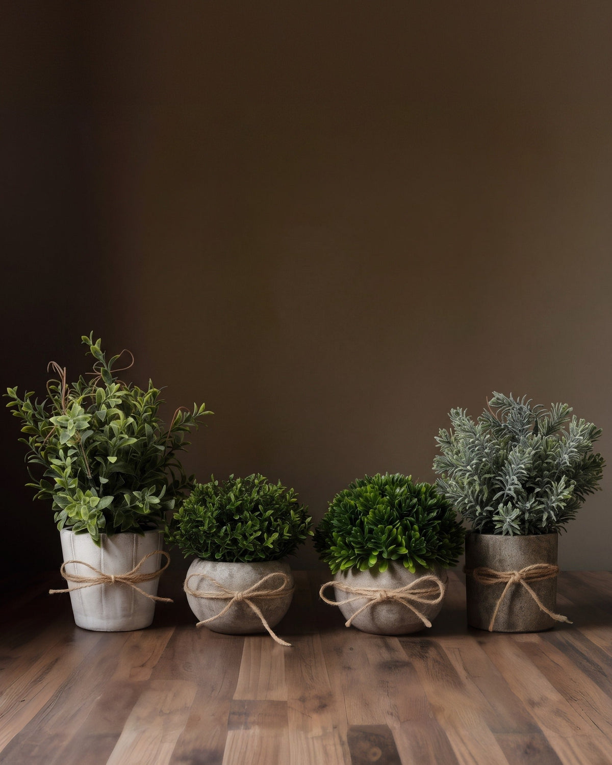 Kit botanique sélectionné Verdant Atelier™ – Miniatures architecturales dans des récipients en minéraux mats