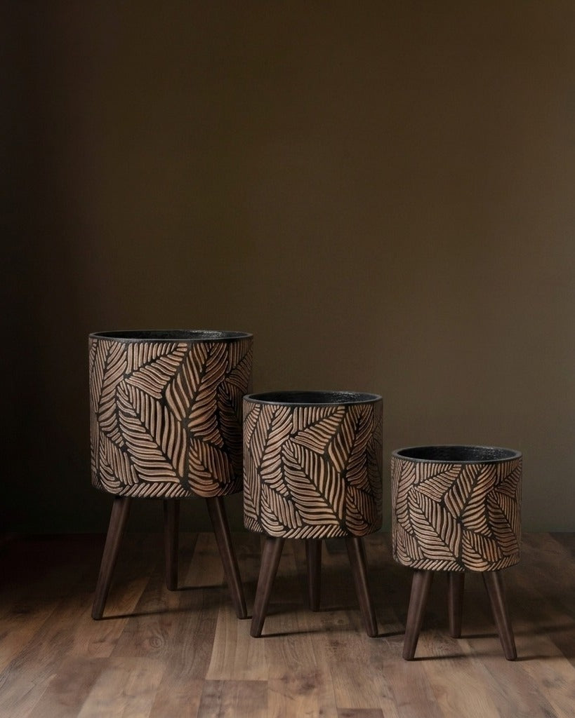 Le trio de reliefs botaniques – Collection de présentoirs en bronze ciselé et noyer