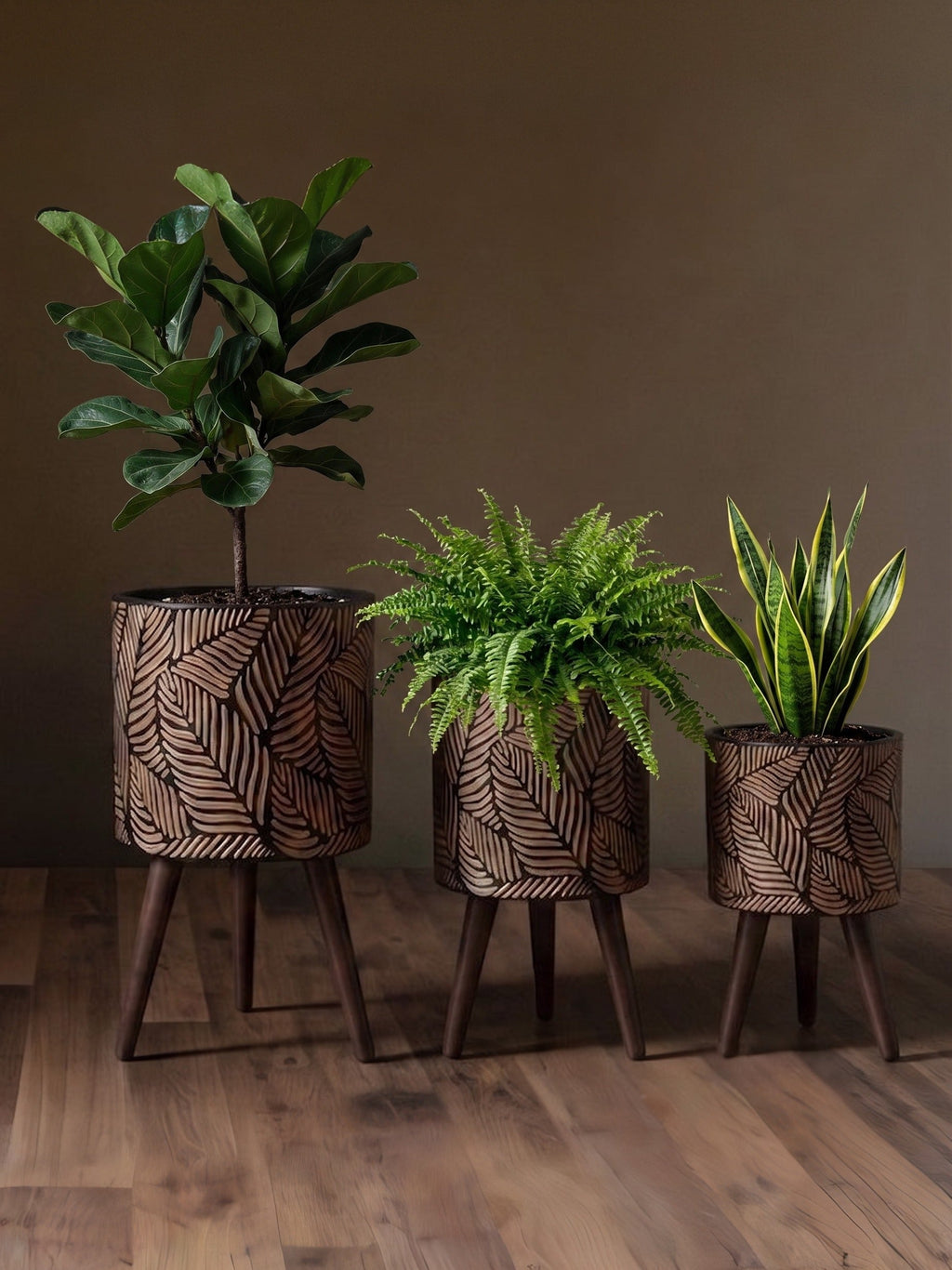 Le trio de reliefs botaniques – Collection de présentoirs en bronze ciselé et noyer