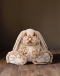 Le Lapin Calin Apaisant – Peluche Lestée Compagne