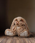 Le Lapin Calin Apaisant – Peluche Lestée Compagne
