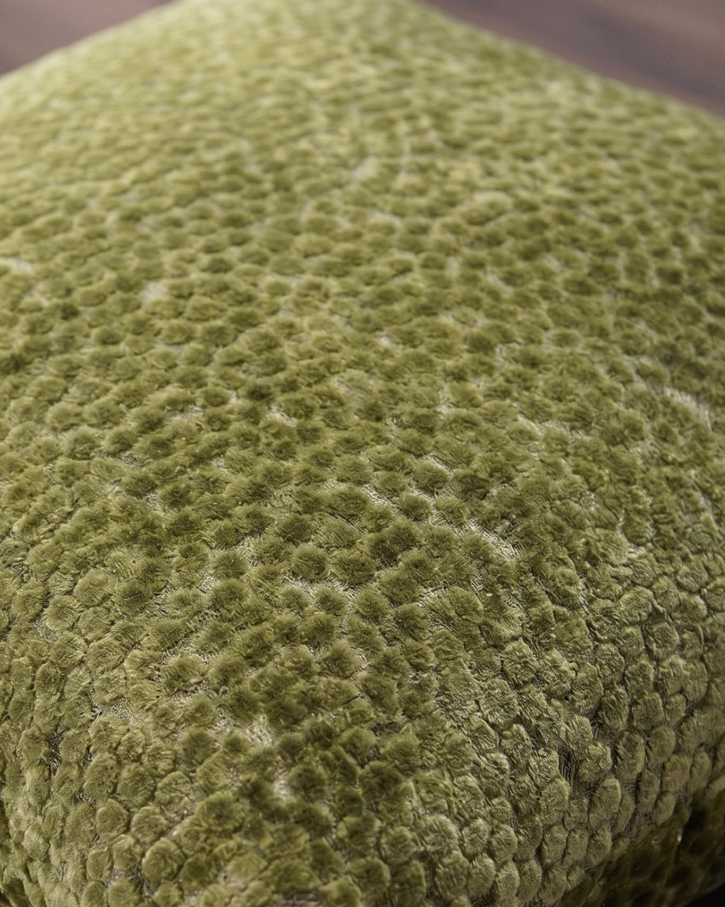 L'Oreiller en Velours Texturé Verdoyant