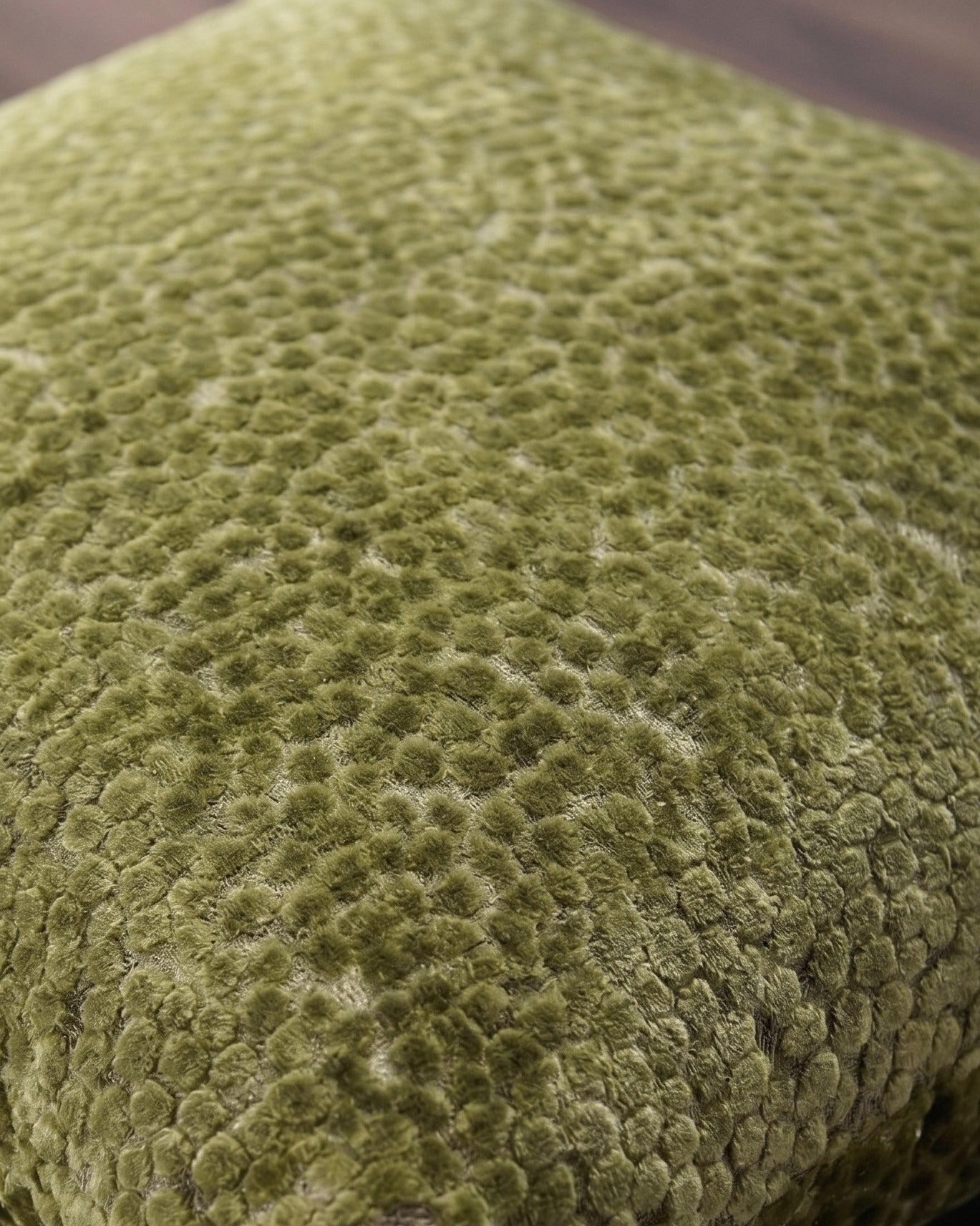 L'Oreiller en Velours Texturé Verdoyant