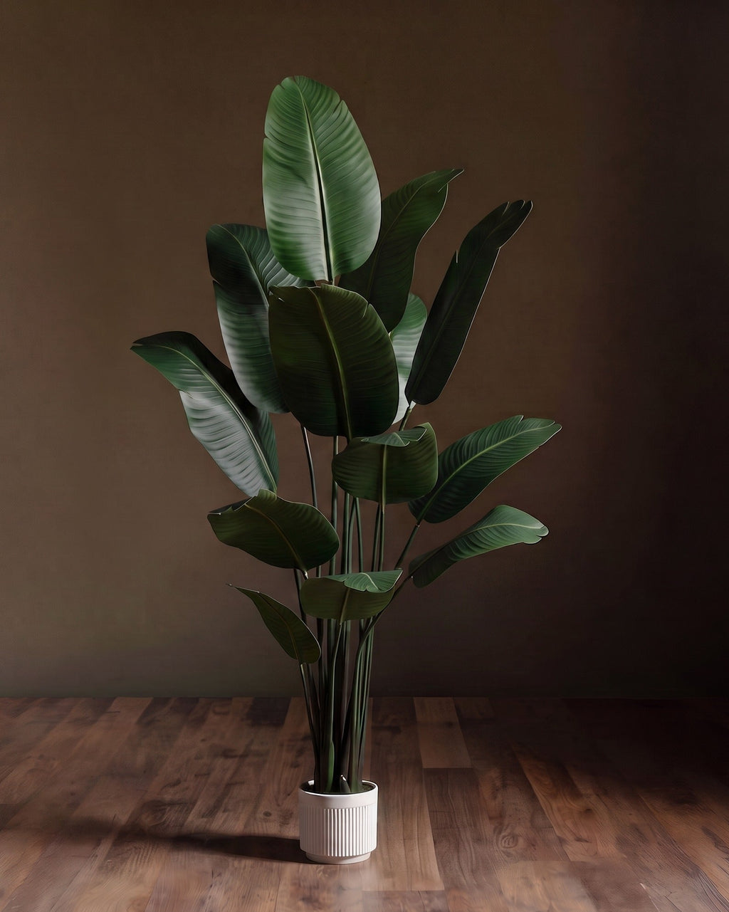Le grand strelitzia : faux oiseau de paradis