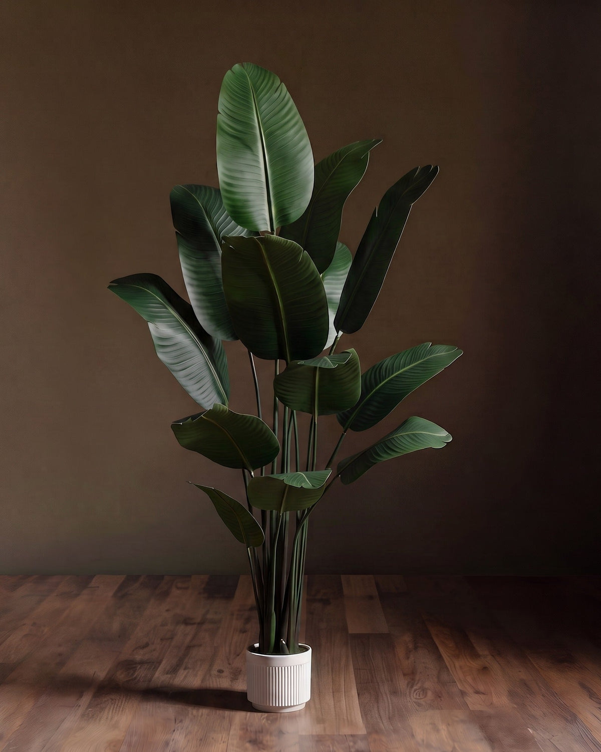 Le grand strelitzia : faux oiseau de paradis