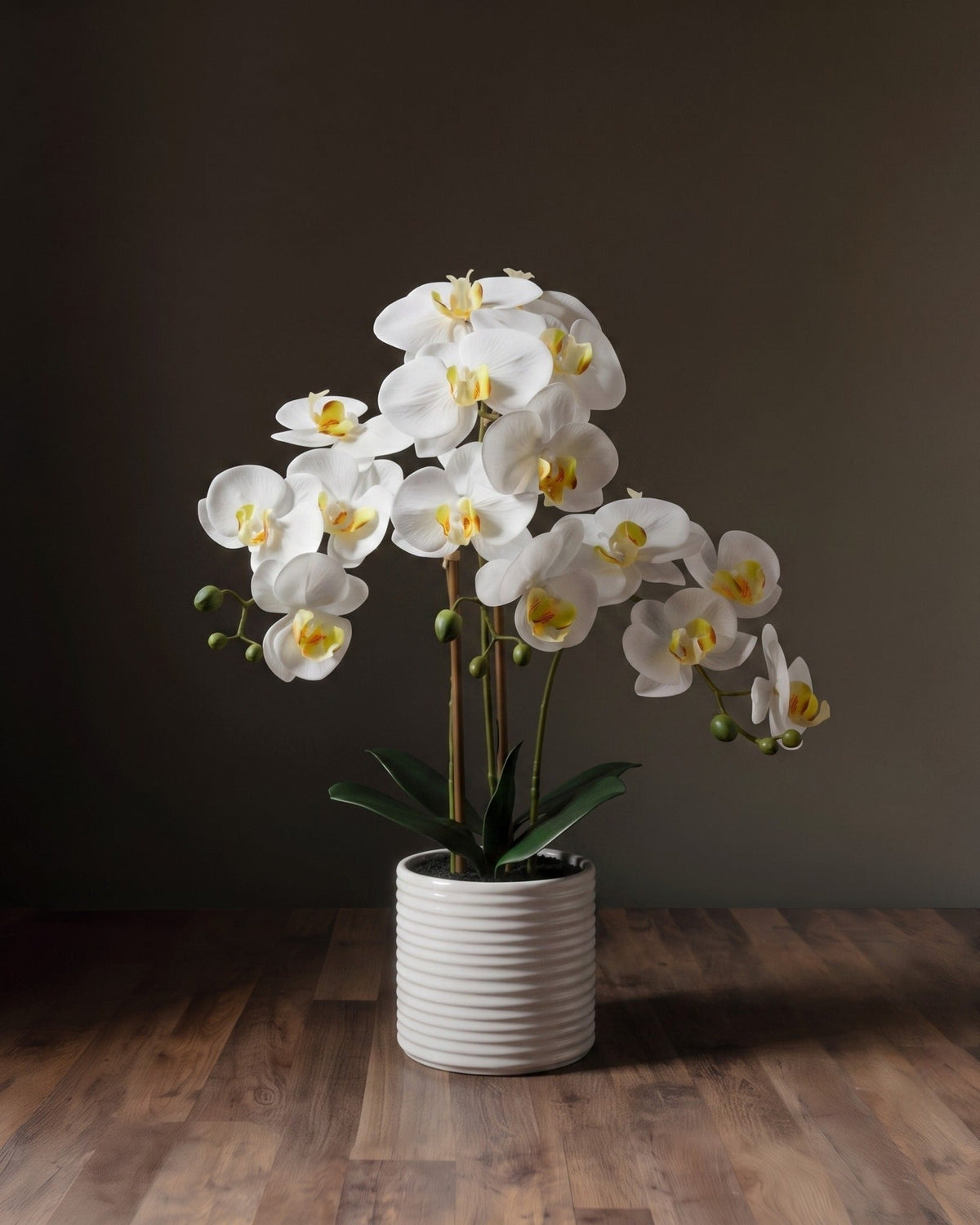 L'arrangement botanique d'orchidées – Élégantes tiges de phalaenopsis dans un vase en céramique cannelé