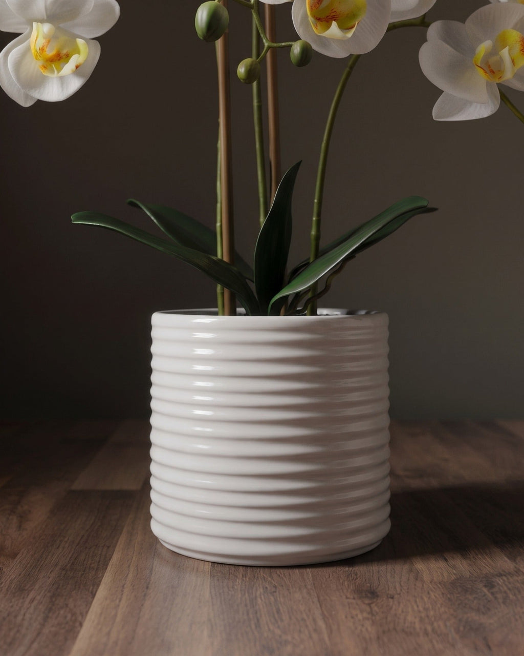 L'arrangement botanique d'orchidées – Élégantes tiges de phalaenopsis dans un vase en céramique cannelé