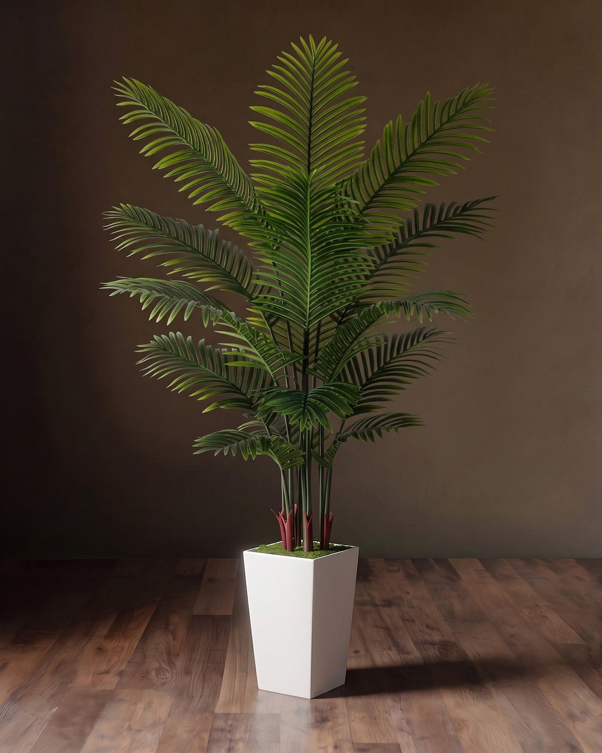 Piedestal en soie Verona et pot de fleurs Areca Palm