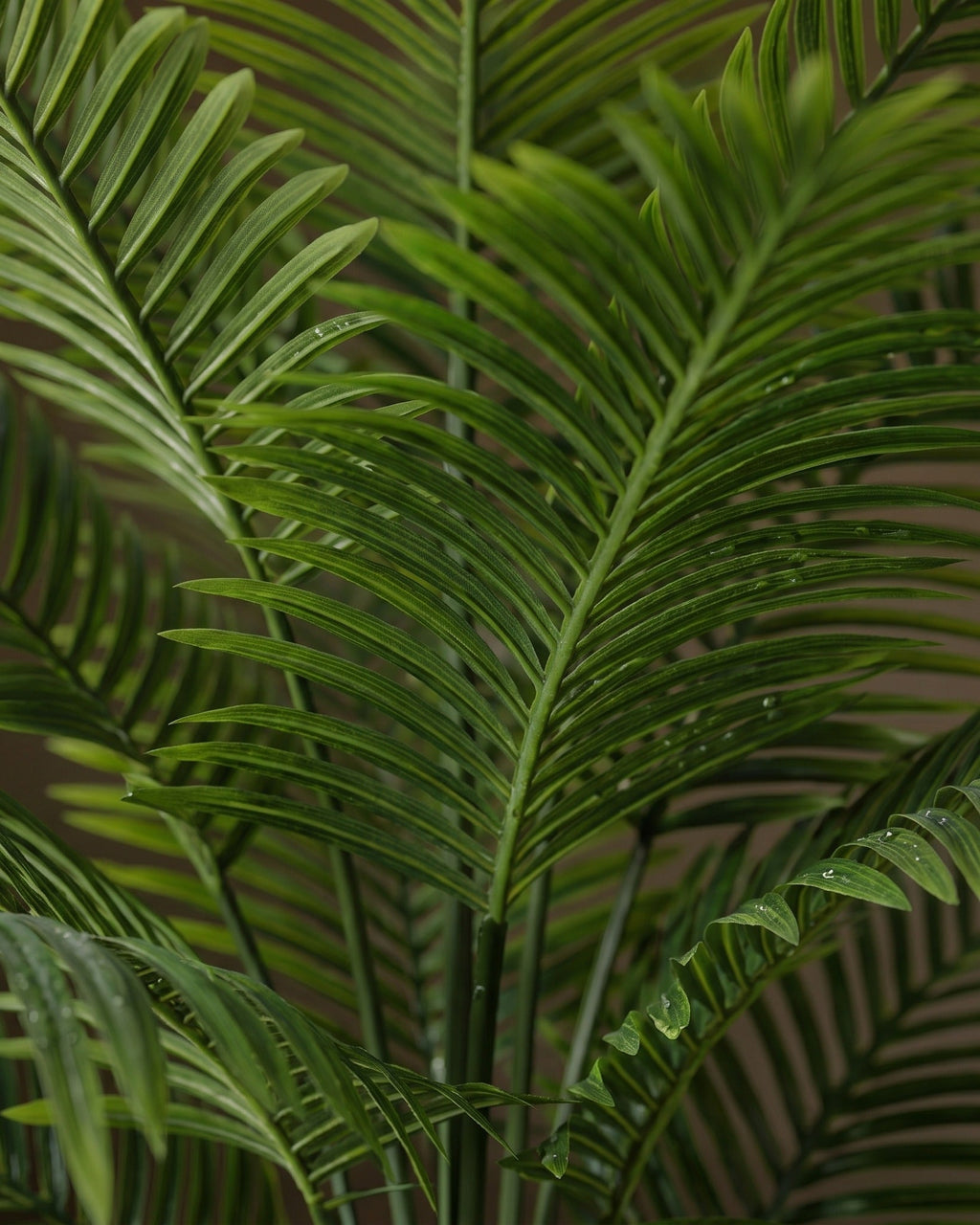 Piedestal en soie Verona et pot de fleurs Areca Palm