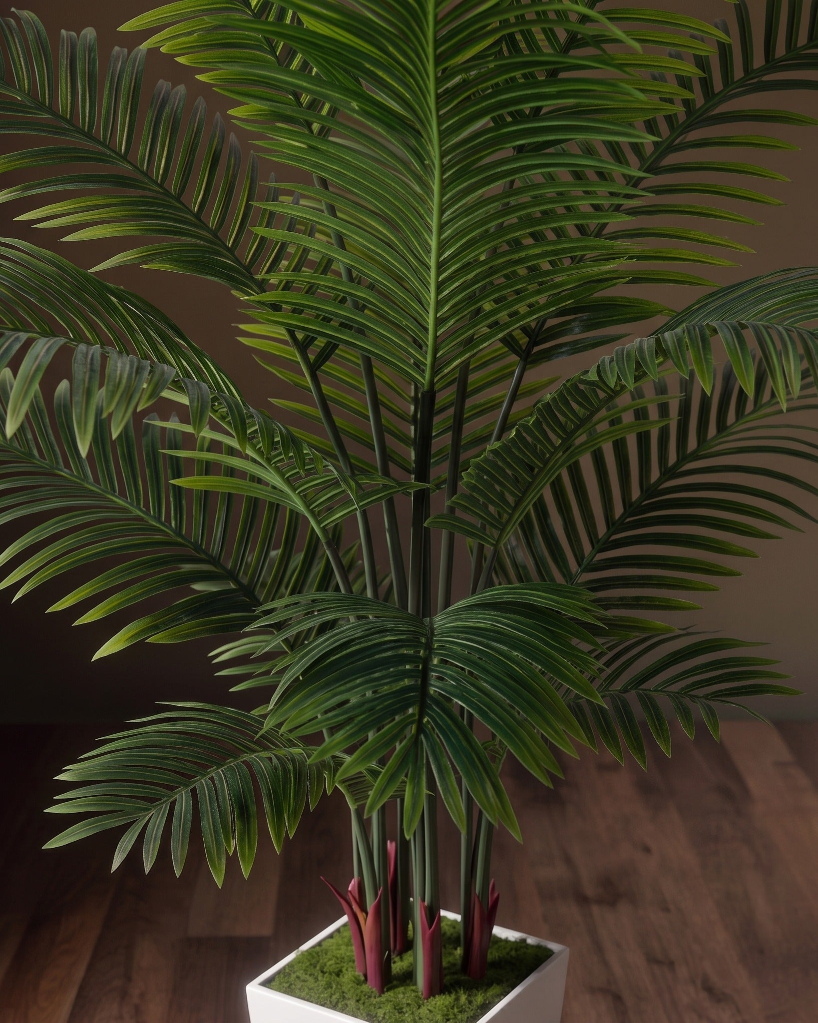 Piedestal en soie Verona et pot de fleurs Areca Palm