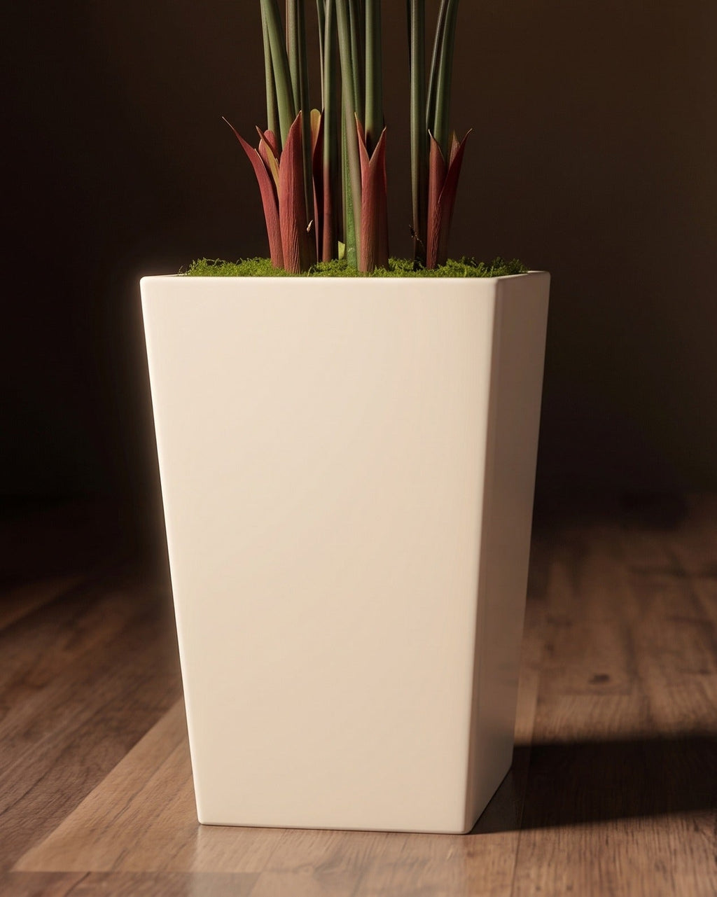 Piedestal en soie Verona et pot de fleurs Areca Palm