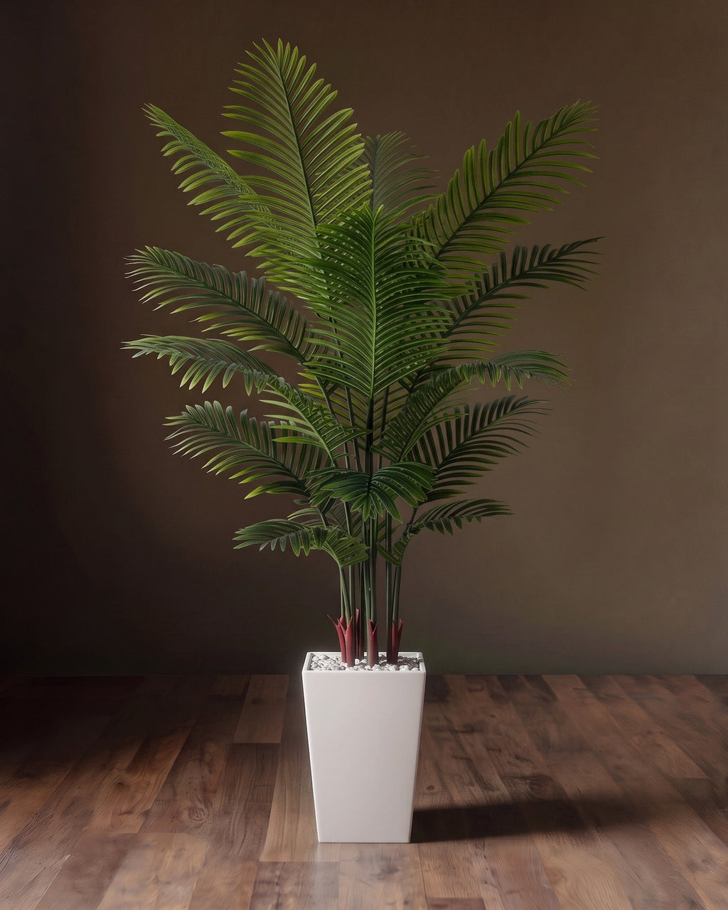 Piedestal en soie Verona et pot de fleurs Areca Palm