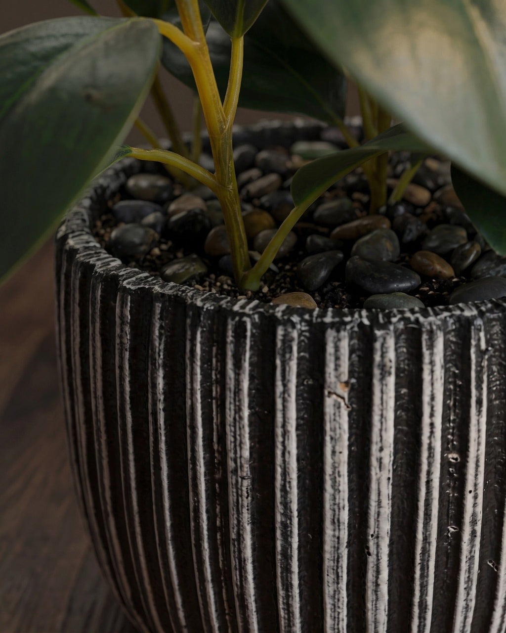 La collection « Artfully Botanicals » de Studio Ficus, présentée dans un pot en argile rayé