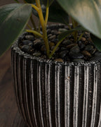 La collection « Artfully Botanicals » de Studio Ficus, présentée dans un pot en argile rayé