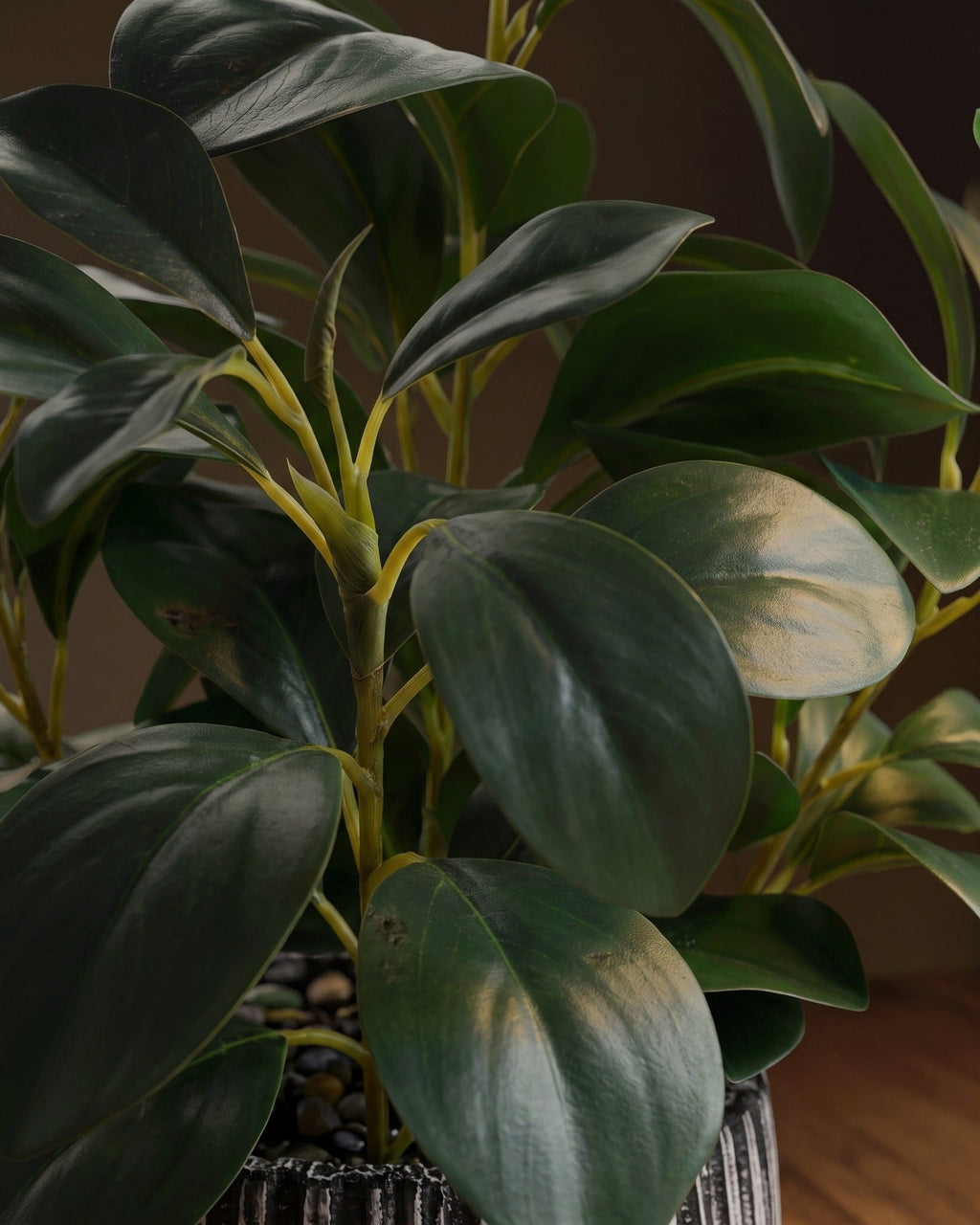 La collection « Artfully Botanicals » de Studio Ficus, présentée dans un pot en argile rayé