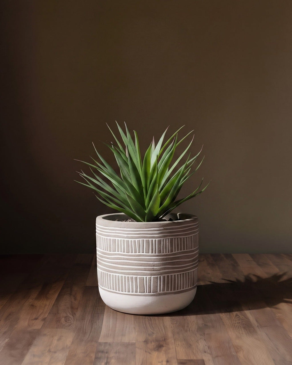 Le pot décoratif en similicuir texturé motif agave
