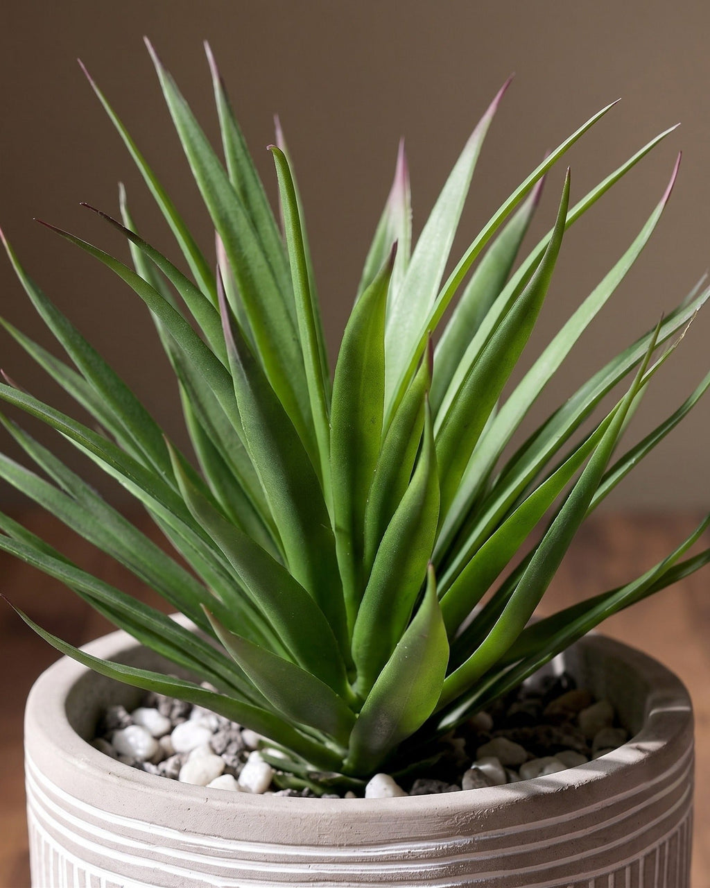 Le pot décoratif en similicuir texturé motif agave