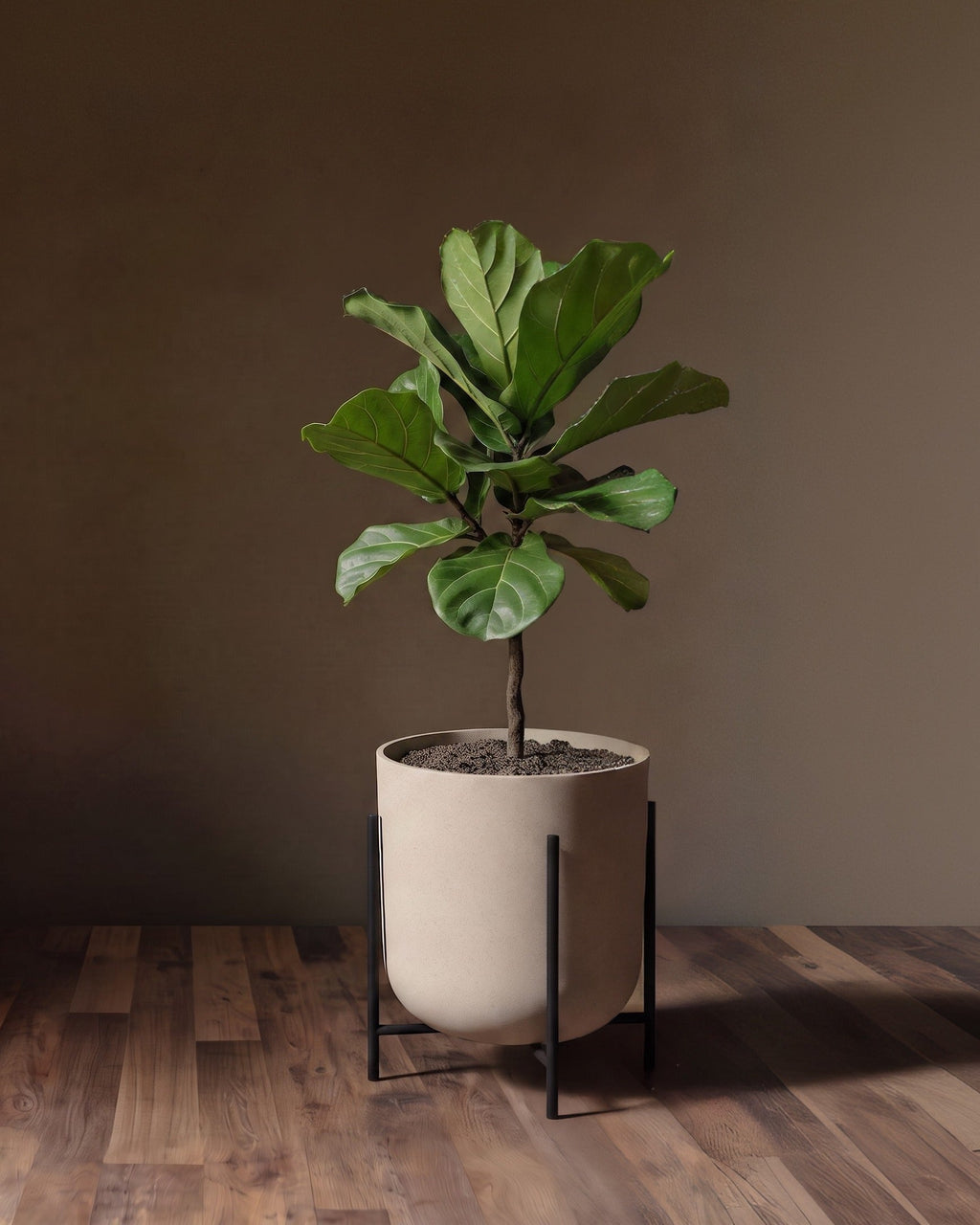 Le vase surélevé et son support architectural Lima - Collection Mason