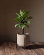Le vase surélevé et son support architectural Lima - Collection Mason