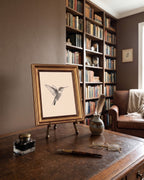 Illustration Colibri Vintage dans Cadre Doré Ancien