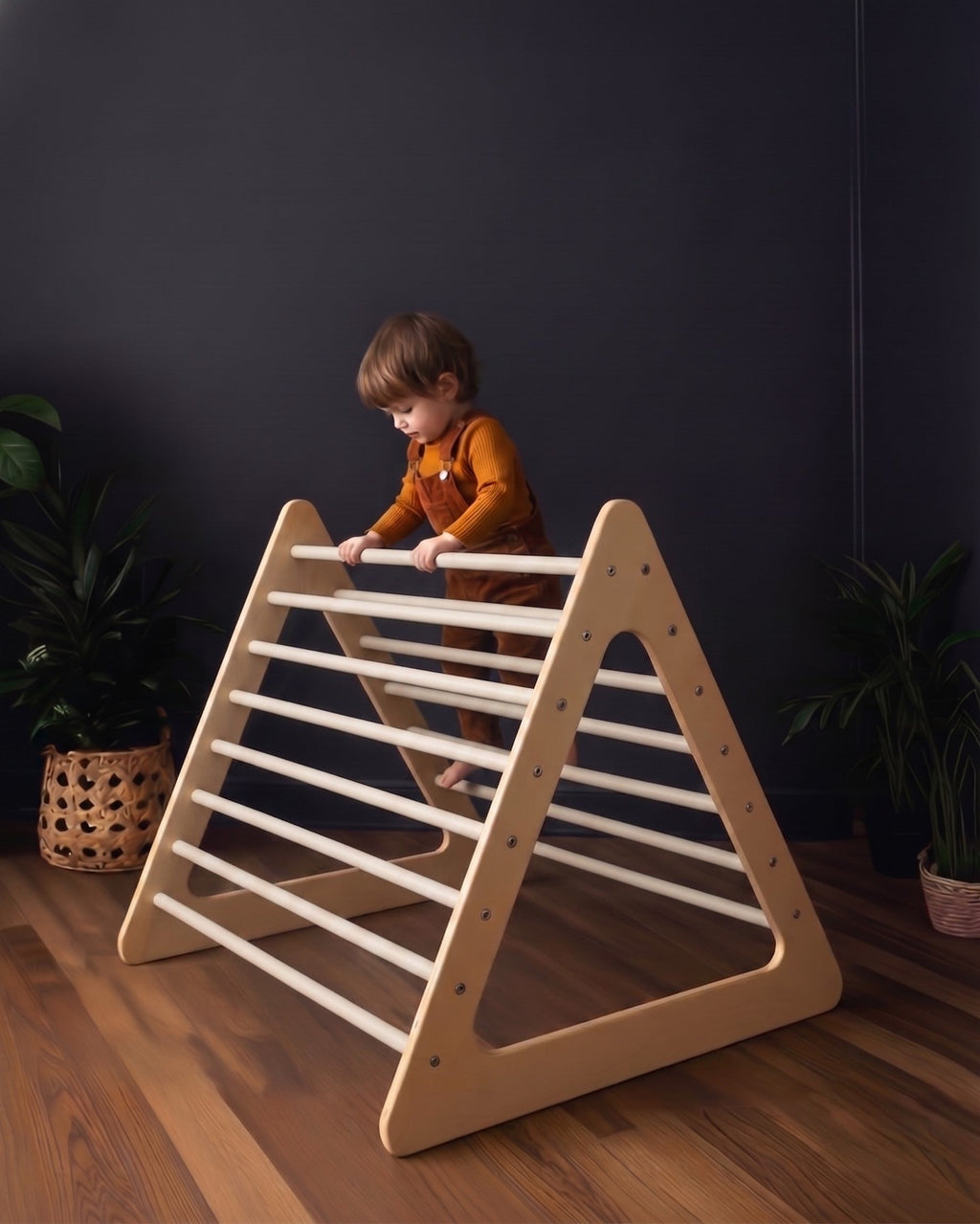 Le Triangle d'escalade Waldorf Géant Premium