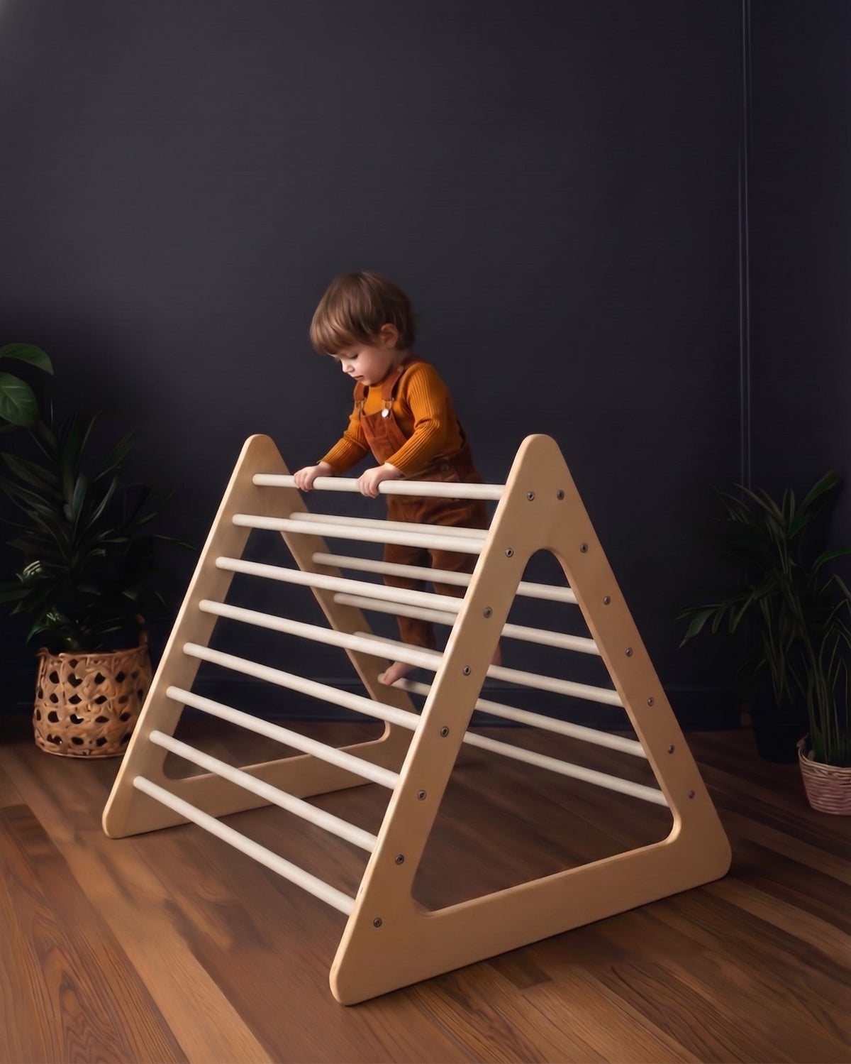 Le Triangle d'escalade Waldorf Géant Premium